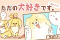 ただの犬好きです。…の画像