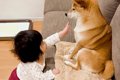 赤ちゃんがくつろい…の画像