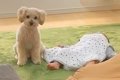 家事の最中、大泣き…の画像