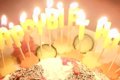 犬の誕生日を祝うた…の画像