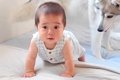 赤ちゃんが『ハイハ…の画像