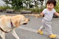 1歳の女の子が『初め…の画像