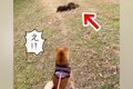 川沿いを散歩してい…の画像