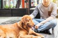 男性と女性、犬によ…の画像