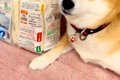 隙を見て『冷凍うど…の画像