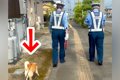 交通指導隊員をする…の画像