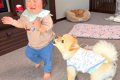 小型犬と赤ちゃんの…の画像