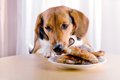 犬が誤飲すると『危…の画像