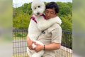 犬と初めてドッグラ…の画像