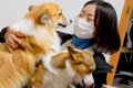ママが帰省のため不…の画像