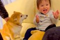 孫と息子が家に遊び…の画像