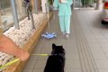 おばあちゃんが転倒…の画像