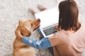 愛犬飼育管理士とは…の画像