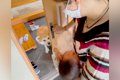出産のため２週間の…の画像