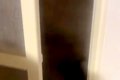 『お風呂場からもの…の画像