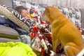 妻が『映画を見なが…の画像