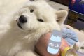 赤ちゃんが生まれた…の画像