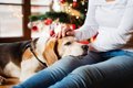 犬のテンションが上…の画像