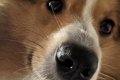 『絶対に悪いことし…の画像