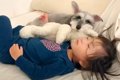 『犬と2歳の女の子』…の画像