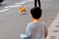 火災で離れ離れにな…の画像