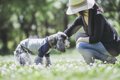 犬の視力は犬種によ…の画像