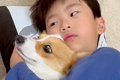 転がる男の子が『犬…の画像