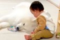 赤ちゃんが大型犬の…の画像