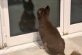 2日間の研修に行っ…の画像