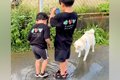 2人の男の子と犬が『…の画像