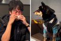 『犬の絵本』を読ん…の画像