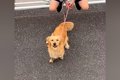 入院中、面会禁止の…の画像