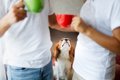 犬が『嫉妬』してい…の画像