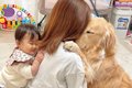 お留守番を察した大…の画像