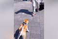 単身赴任中のお父さ…の画像