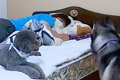 頭痛と腰痛が酷く、…の画像