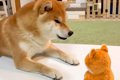 お喋り好きな犬に『…の画像