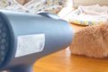 犬をシャンプー後、…の画像