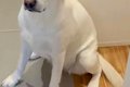 仕事に向かう直前→な…の画像