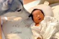 赤ちゃんが生まれる…の画像