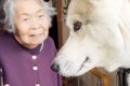 犬が嫌いな『90歳の…の画像