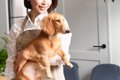 犬を『抱っこ』する…の画像