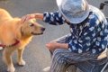 散歩中に『おばあち…の画像