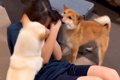 女の子が筋トレを始…の画像