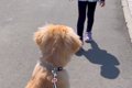 歩くのが遅い女の子→…の画像
