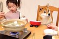 犬が家族と一緒に食…の画像