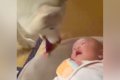 泣き始めてしまった…の画像