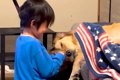 小さい頃、大型犬に…の画像