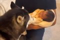赤ちゃんだと思って…の画像