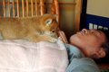 『パパ、まだ起きな…の画像